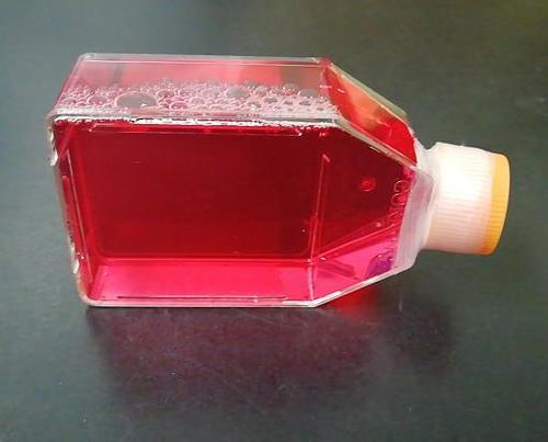 DMEMҺ-RJ500ml